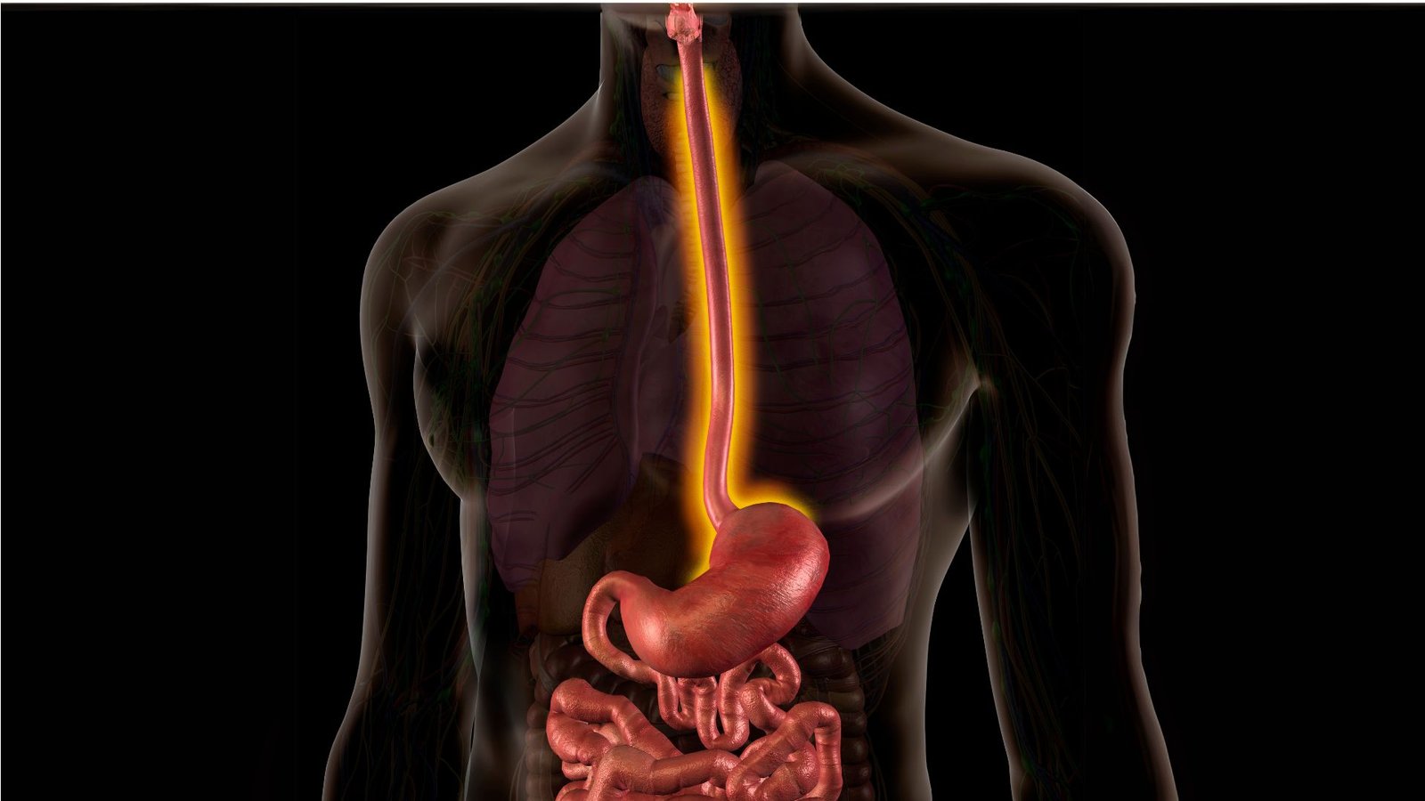 Best Cancer Specialist In Lucknow, best oncologist in lucknow, best cancer doctor in lucknow