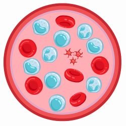 Best Cancer Specialist In Lucknow, best oncologist in lucknow, best cancer doctor in lucknow